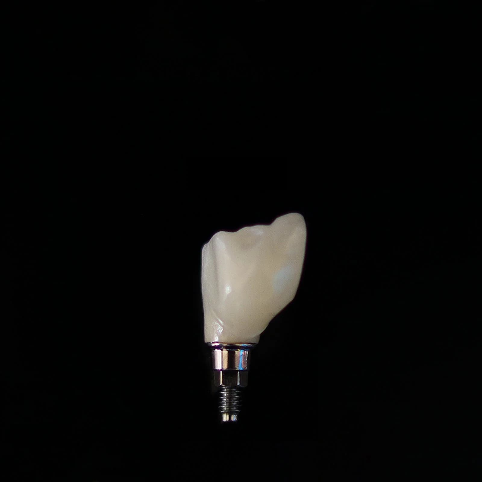 Toothbrush and daily oral hygiene essentials